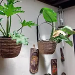 Aptos Monasterio De San Antonio 5 *