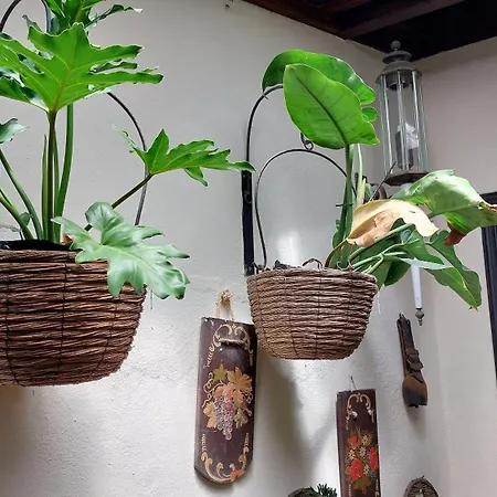 Apartment Aptos Monasterio De San Antonio 5 Icod De Los Vinos