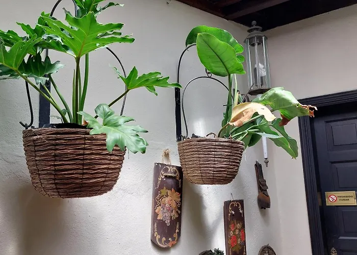 Daire Aptos Monasterio De San Antonio 5 Icod De Los Vinos